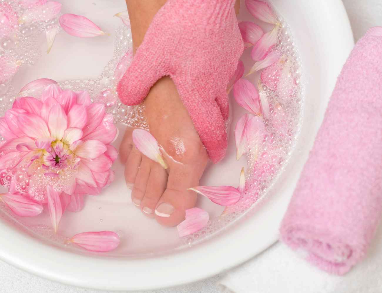 How Much To Charge For Feet Pictures? Dollar Plants